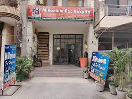 Open 10am to 8pm every day — walk in or book online. Ndmc Veterinary Hospital Moti Bagh South Veterinary Hospitals In Delhi Justdial