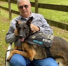 Bildergebnis für Ala D'Amico