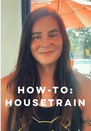 Cómo entrenar a tu perro para que haga sus necesidades