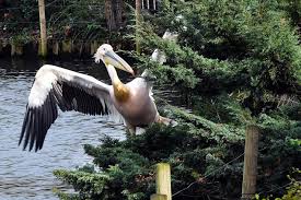 Les seuls déplacement autorisés, à condition de remplir une attestation, sont ceux liés à des motifs dérogatoires (activité professionnelle, achat de produits de première nécessité, motif médical, motif familial impérieux. Musees Parcs Que Faire Ce Week End Des 13 Et 14 Juin Dans Le Nord Et Le Pas De Calais