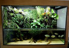 300gal Paludarium Project Page 5 Dendroboard Fish Tank Terrarium Aquarium Fish Tank Aquarium