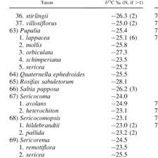 Image result for Centemopsis trinervis