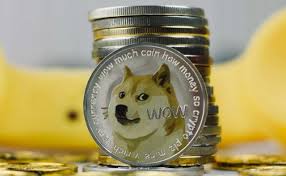 „you can't get rich with dogecoin. Elon Musk Sends Dogecoin To The Moon Money Godzilla