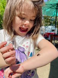 Fluorescent baby jumping spiders in southern Oregon