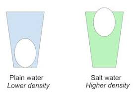 salt water density experiment science