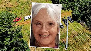 Big changes are coming for Illinois homeowners and businesses using solar  panels.