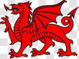 The flag of wales (y ddraig goch, meaning 'the red dragon') consists of a red dragon passant on a green and white field.as with many heraldic charges, the exact representation of the dragon is not standardised and many renderings exist.the flag is not represented in the union flag. Flag Of Wales Colour By Number Welsh Dragon Coloring Book Transparent Png