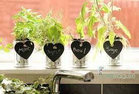 Light a windowsill with southern exposure is often all you need to grow herbs indoors. Indoor Gardening How To Grow Herbs Inside Lifestuffs Com