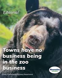 Honey, an American black bear, was housed at the Holtsville Ecology Site  and Animal Preserve, a Brookhaven Town facility. She's a prime of example  of why towns should not run zoos. For