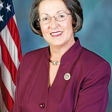 State Rep. Becky Corbin appointed to committees for 2017-18 session