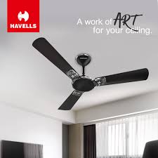 Flush fitted gold lights with white diffuser. Rose Gold And Black Havells Enticer Art Ceiling Fan 48 Inch Rs 3300 Piece Id 19232769448