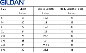 Gildan Short Sleeve Youth T Shirt Size Chart Rldm