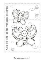 El Ciclo De Vida Mariposas Monarcas Flipbook Paramaestros Com