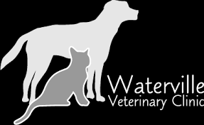 Our veterinary care is the best you will find in all of town. Homepage Waterville Veterinary Clinic