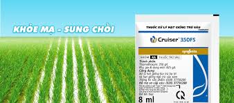 Cruiser® 350FS