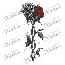 Marketplace Tattoo Intertwined Roses 12019 Rose Vine Tattoos White Rose Tattoos Rose Tattoos