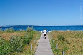 To the north of binz stretches the schmale heide (the narrow heath. Fotos Binz Insel Rugen