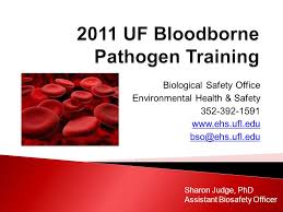 Maybe you would like to learn more about one of these? 2011 Uf Bloodborne Pathogen Training Ppt Download