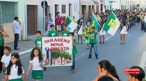 Resultado de imagem para nova floresta pb