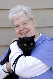 Animal Hospital of Streamwood, 904 E Irving Park Rd, Streamwood, IL 60107,  US