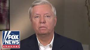 Senate in 2002 and began representing south carolina the following year. Lindsey Graham Gop Can T Move Forward Without President Trump Thehill