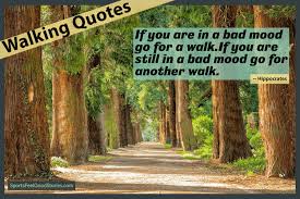 Spending time with god in prayer each morning gives you strength and motivation for the day ahead!✩ support the channel ✩. 73 Beautiful Walking Quotes To Brighten Your Morning Walk And Day