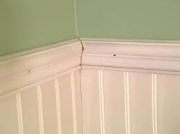 This is an example of a traditional porch design in philadelphia. How To Install Beadboard Wainscoting How Tos Diy