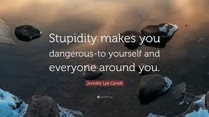 Jennifer Lee Carrell Quote: “Stupidity makes you dangerous-to yourself and  everyone around you.”