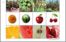 Epingle Par Cathie Sur Activite Manuelle Fruit Fruits Et Legumes Fruits