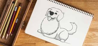 How to draw golden retriever step by step? How To Draw A Golden Retriever Step By Step Guide