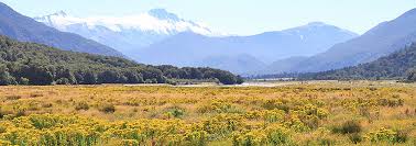 Photo Tour New Zealand Nature Guided Photography Tour By Reuthers