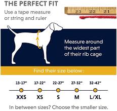 The Best Top 3 Dog Rappelling Harness Under 99