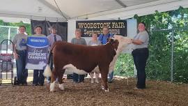 Woodstock Fair