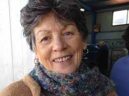 Fundraiser by Kim Beer : Susan's Journey