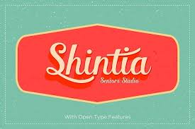 Shintia script is the perfect font for all your fun designs. Shintia Script 11402 Script Font Bundles