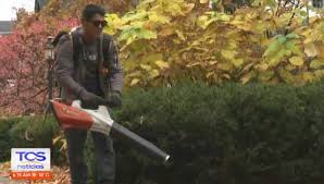 Visa H-2B: "Empezó un cambio drástico en mi vida"