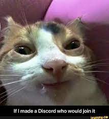 Pin On Funny