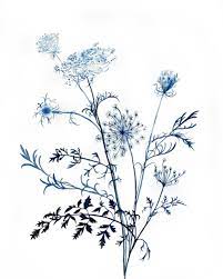 Queen Anne S Lace No 11 In 2020 Vine Drawing Queen Annes Lace Lace Drawing