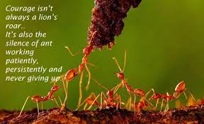 Pin On Quotes Sayings