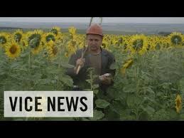 Ukraine and the aftermath of the downing of flight mh17. Vice Warning Graphic Exclusive News Footage Of Mh17 Aftermath Videos