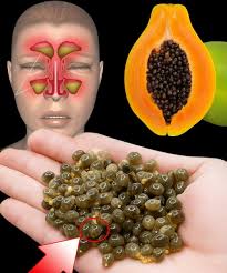 Potential Health Benefits of Papaya Seeds