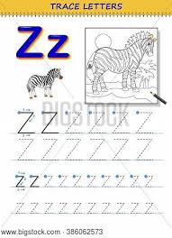 From aloe to zebra grass—and with over 1,000 plants to explore—find every plant in the alphabet within ou. Tracing Letter Z Vector Photo Free Trial Bigstock
