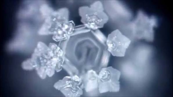 Japon Bilim Adamı Masaru Emoto ve Muhteşem Su Deneyi., Su deneyi Eğer düşüncelerimiz suya bunu yapabiliyorsa kim bilir bize neler yapabilir. | Tesla Fizik Kulübü | Facebook
