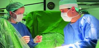 Veterinary Medicine Undergraduate Study