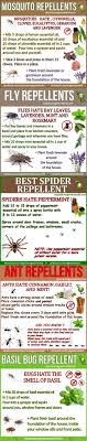 Safe pest control is my mantra. Homemade Pest Control Recipes Video Instructions