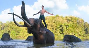 Fmoviesgo is a free movies streaming site with zero ads. Junglee Trailer Talk Vidyut Jammwal And Kalaripayattu Save The Elephants