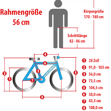 Rennrad 700c 28 Zoll Galano Vuelta Sti Shimano Bike 4 Rahmengrossen Fahrrad Ebay