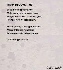 Pin On Hippo Pictures