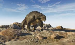 Image result for Scutosaurus