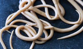 Sintomas de verminose (parasitose intestinal)